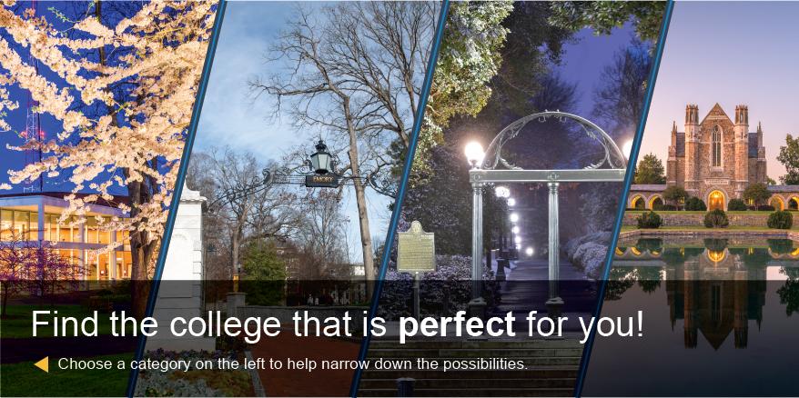 College Search Banner