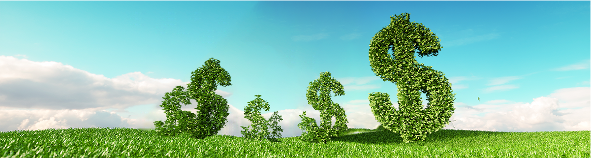 Search for Scholarships & Save Money!